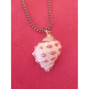 Small Conch Necklace With Gold Toned Chain Conch Approx 1" Chain Doubled 7"